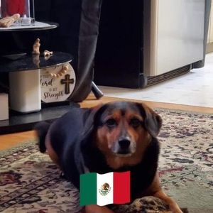 Meet your Posher, William